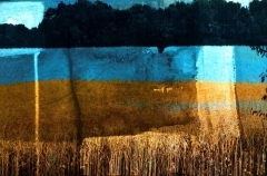 Blue Fields at Dawn, Digital print on paper or canvas - SOLD 1 of 5