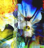 Morning Glory,  Giclee Print on canvas