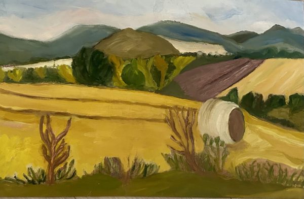 Field in Black Isle Scottish Highlands, oil on Board, unframed 40 x 62cm Field in Black Isle Scottish Highlands oil painting